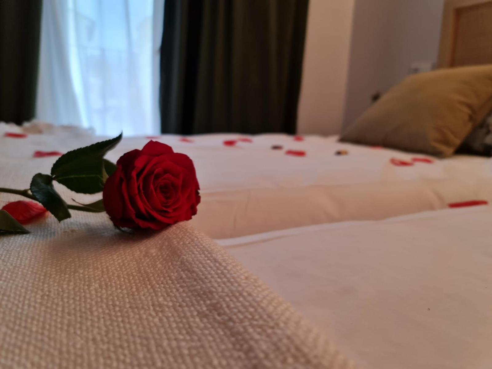 Hotel Camino De Las Estrellas Serranillos エクステリア 写真