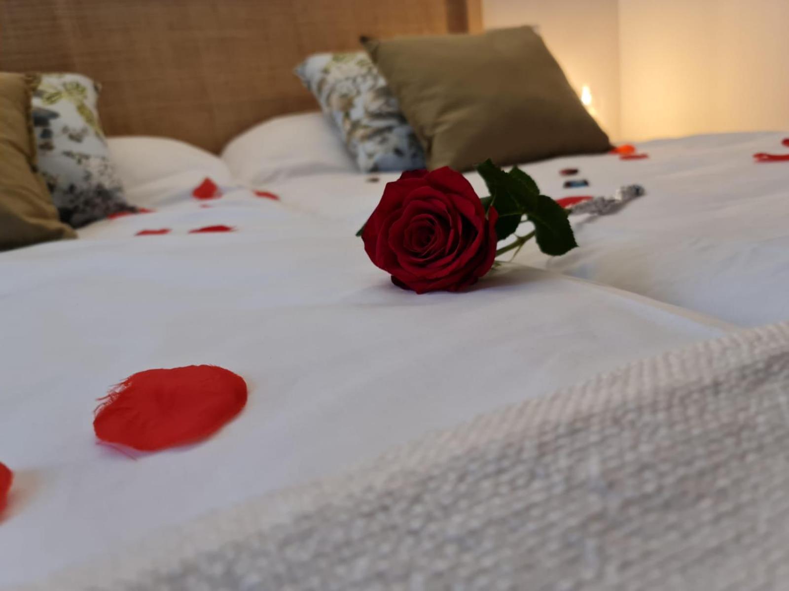 Hotel Camino De Las Estrellas Serranillos エクステリア 写真